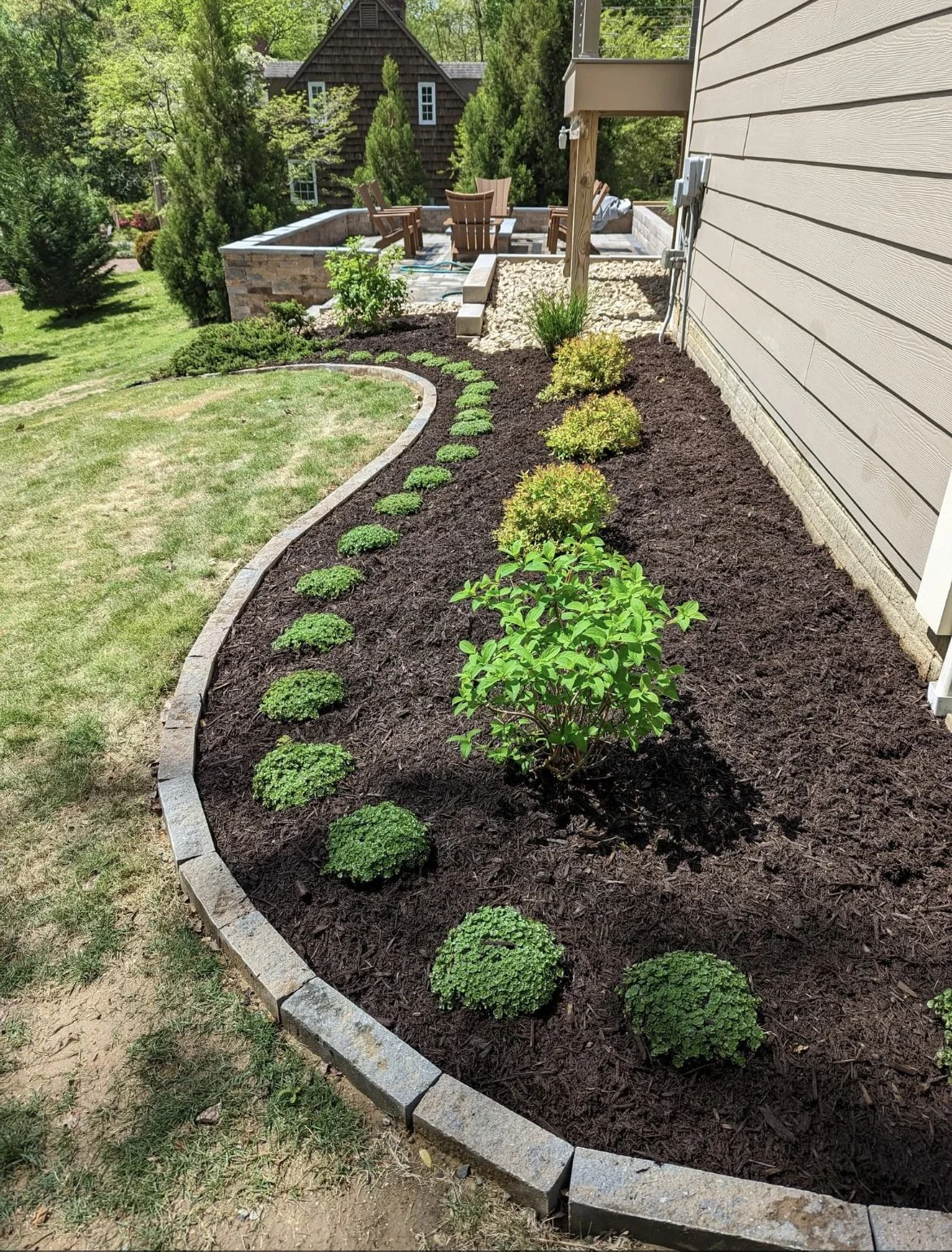 Curved paver-edged planting bed with fresh mulch and new shrubs