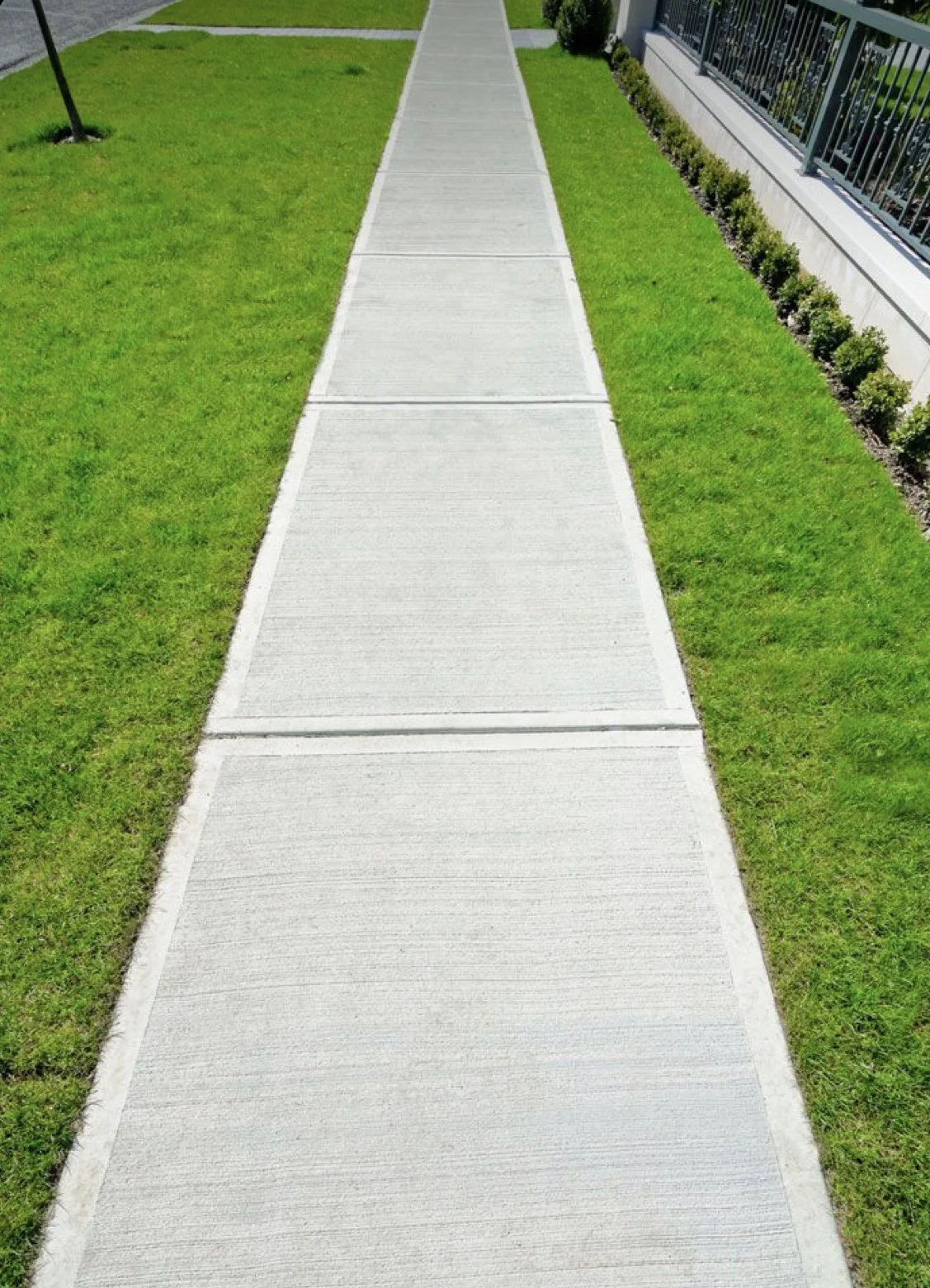 Straight concrete sidewalk with clean control joints between green lawns